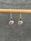Labradorite Shell Earrings