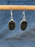 Trilobite Earrings Medium