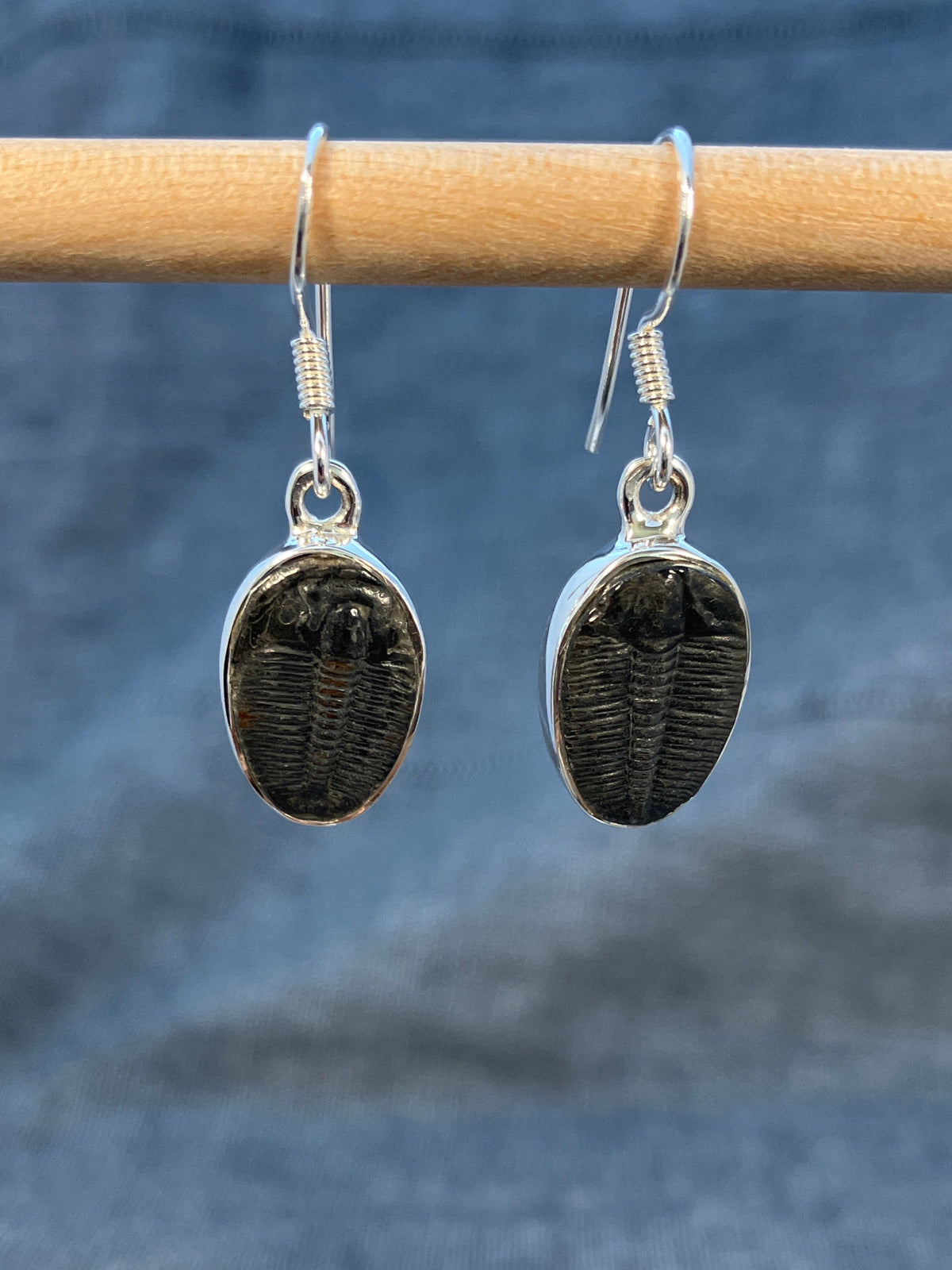 Trilobite Earrings Medium