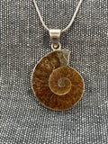 Ammonite Pendant 3