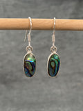 Paua Shell Long Oval Earrings