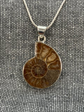 Ammonite Pendant 4