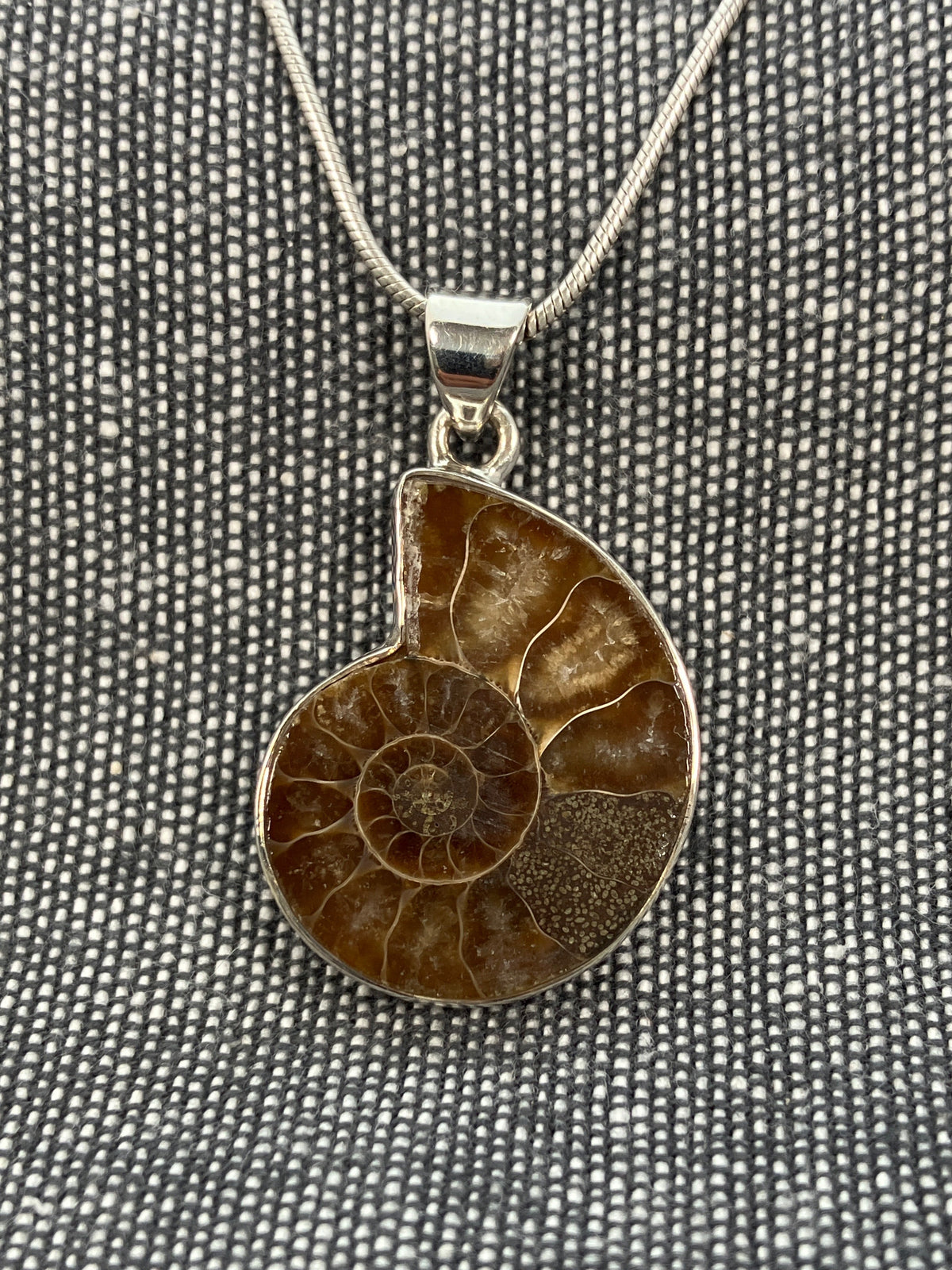 Ammonite Pendant 4