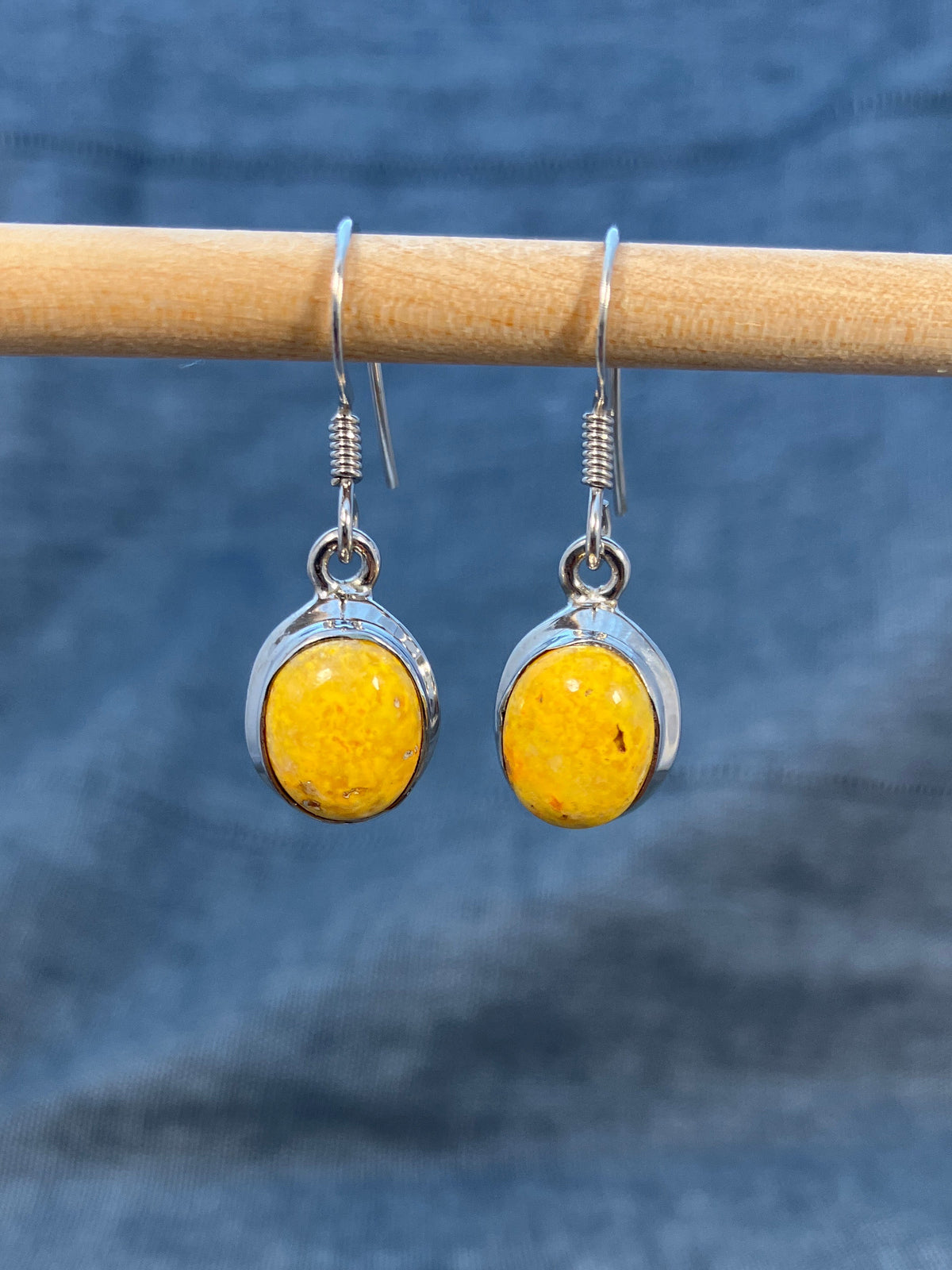 Bumblebee Jasper Framed Oval Earrings