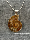 Ammonite Pendant 1