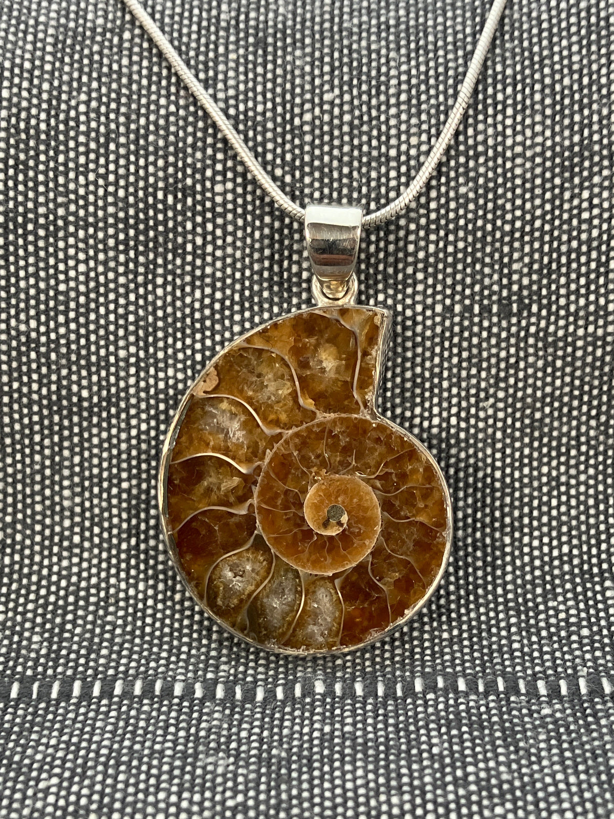 Ammonite Pendant 1