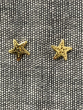 Holey Star Gold Plated Studs