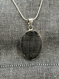 Trilobite Pendant 2