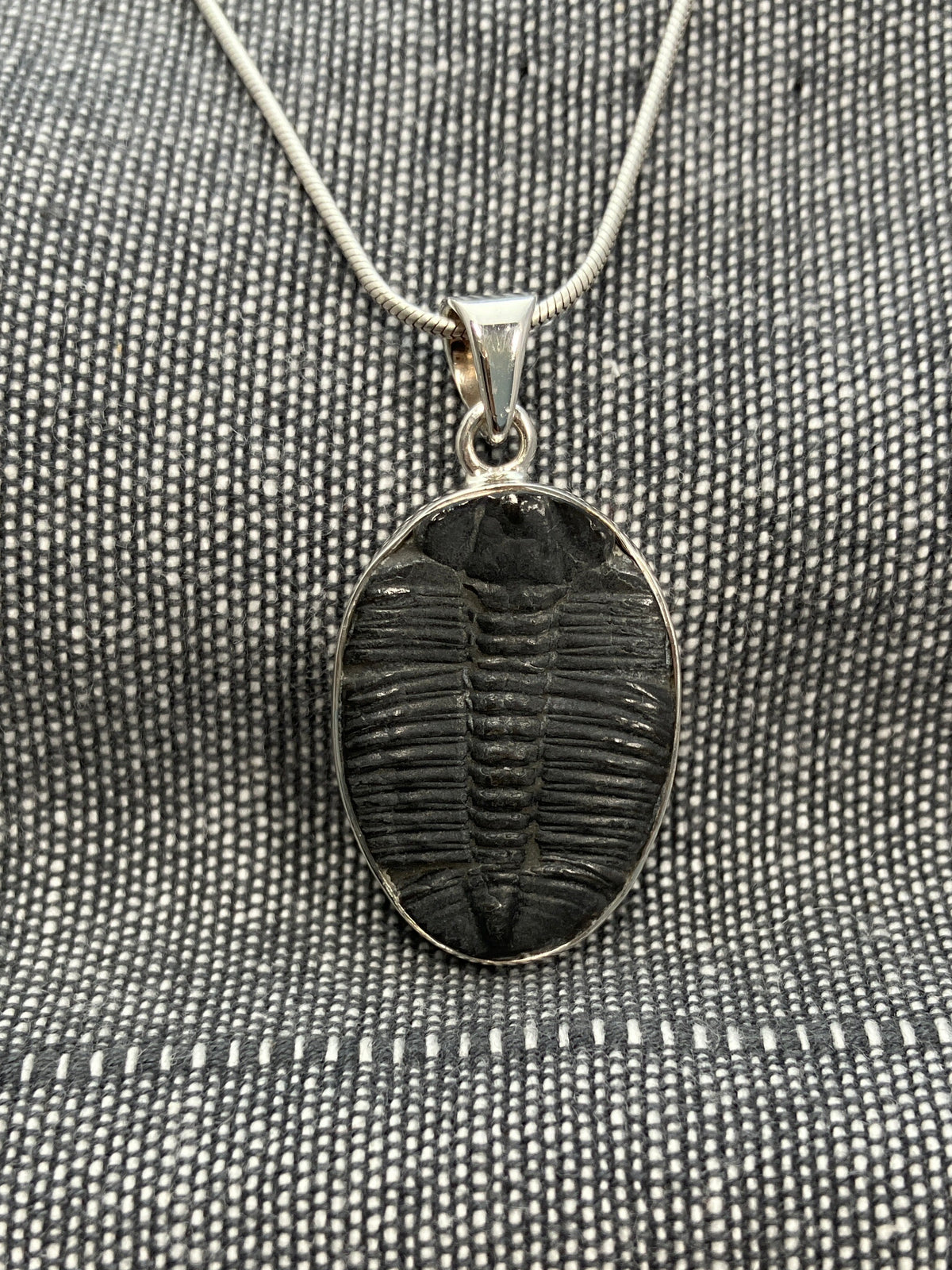 Trilobite Pendant 2