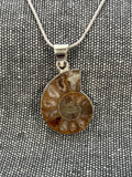 Ammonite Pendant 5