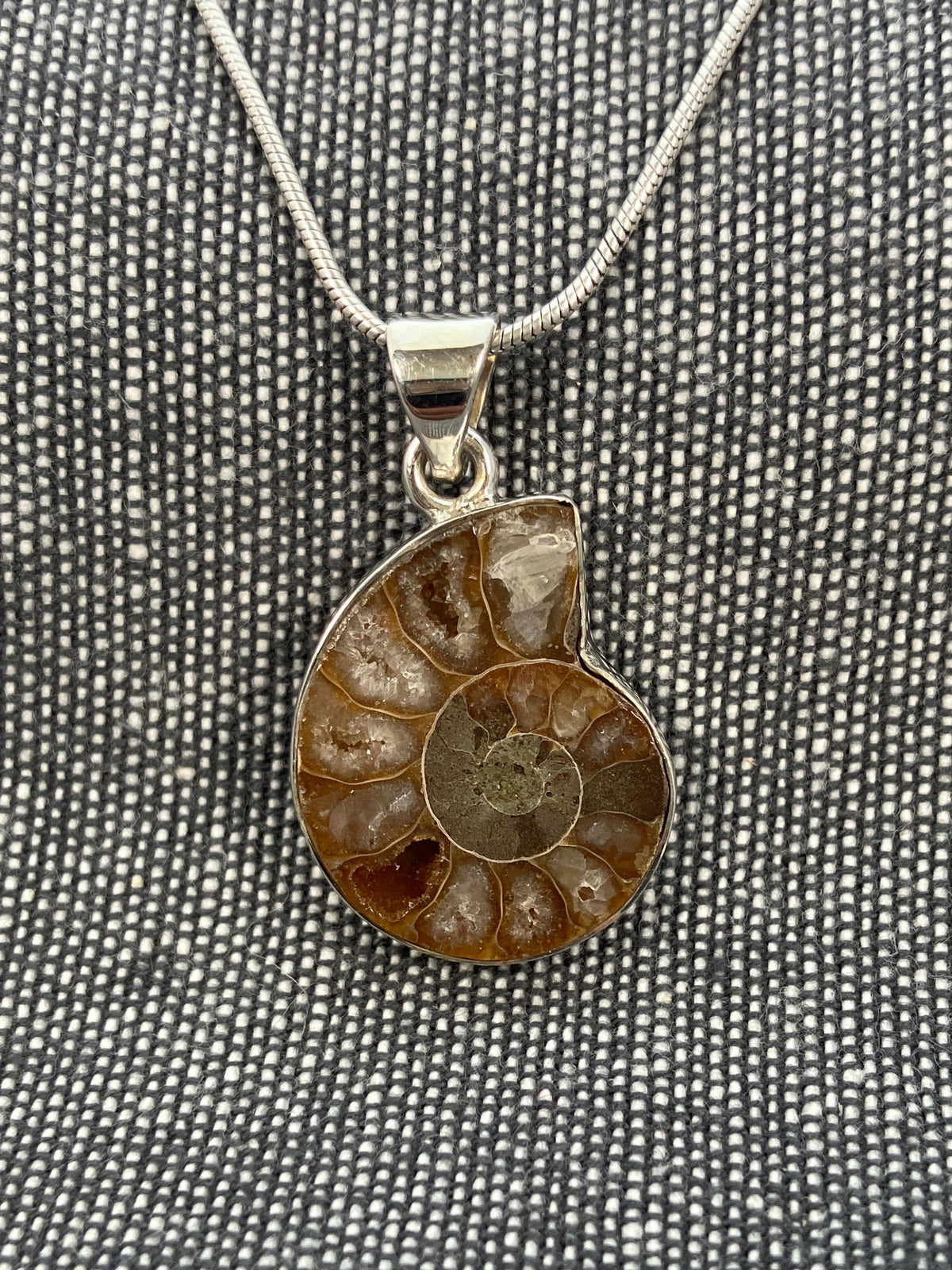 Ammonite Pendant 5
