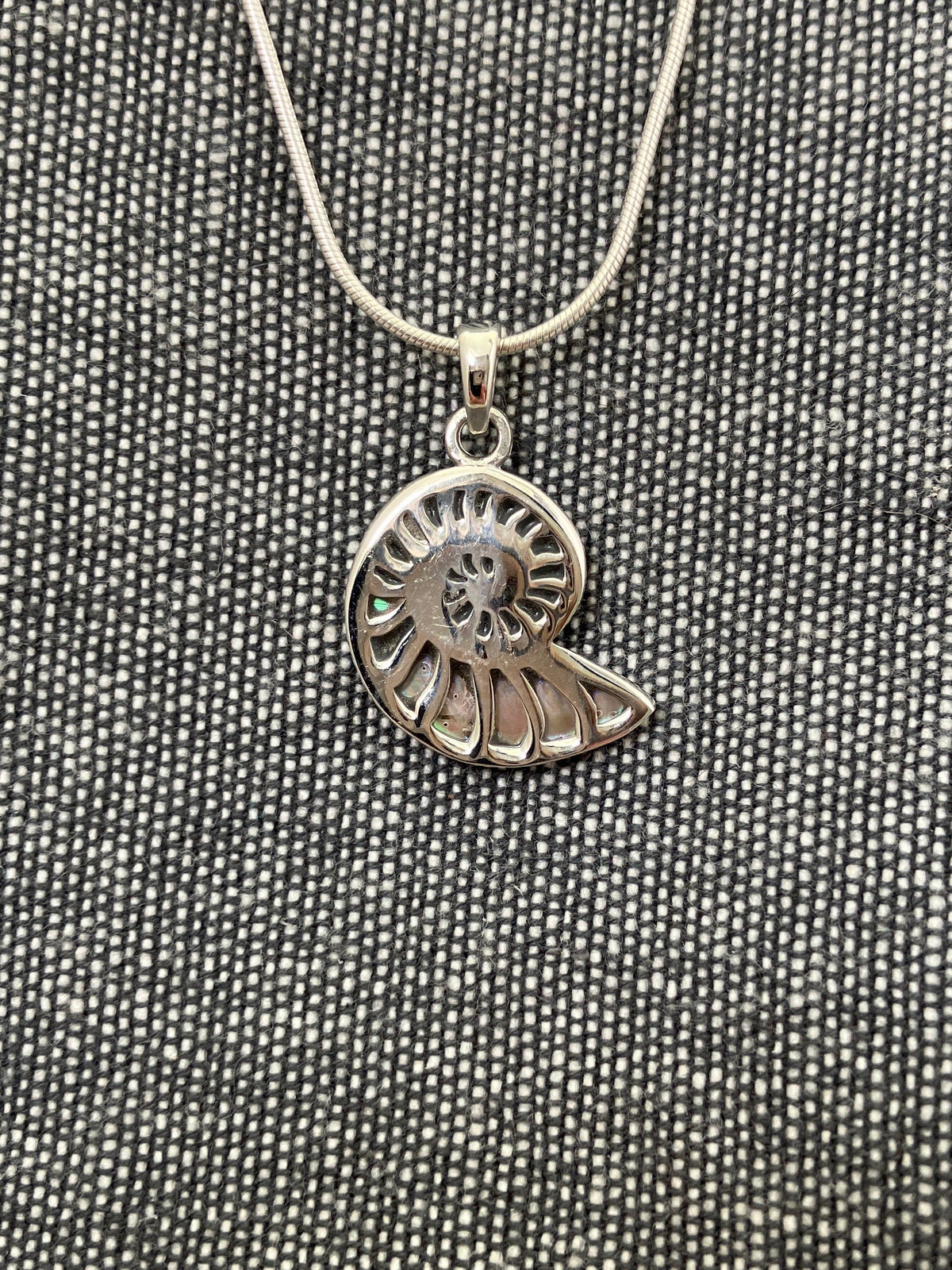 Paua Shell Ammonite Pendant