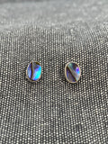 Paua Shell Oval Studs
