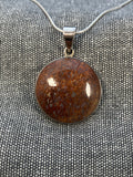 Dinosaur Bone Round Pendant