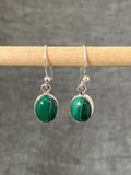 Malachite Medium Oval Earring