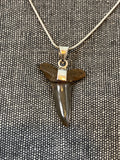 Fossilized Shark Tooth Pendant 1