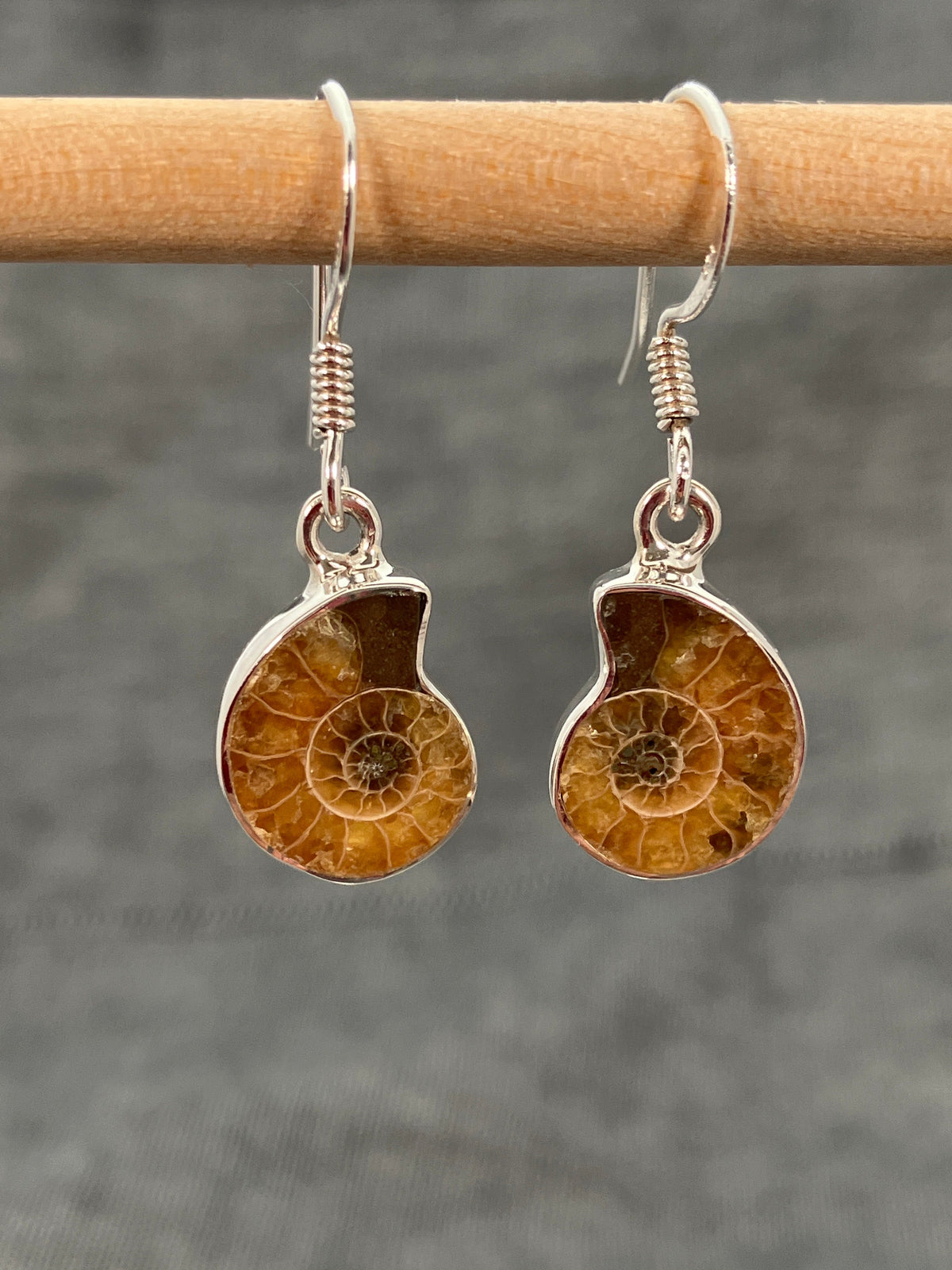 Ammonite Earrings