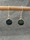 Paua Shell Round Earrings