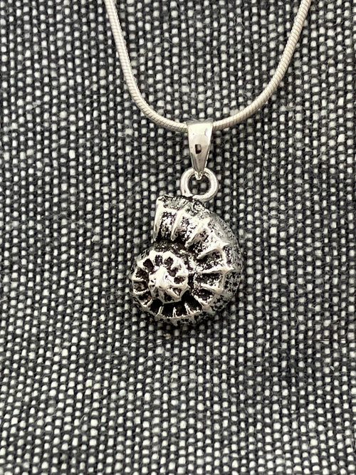 Ammonite Pendant