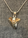 Fossilized Shark Tooth Pendant 2