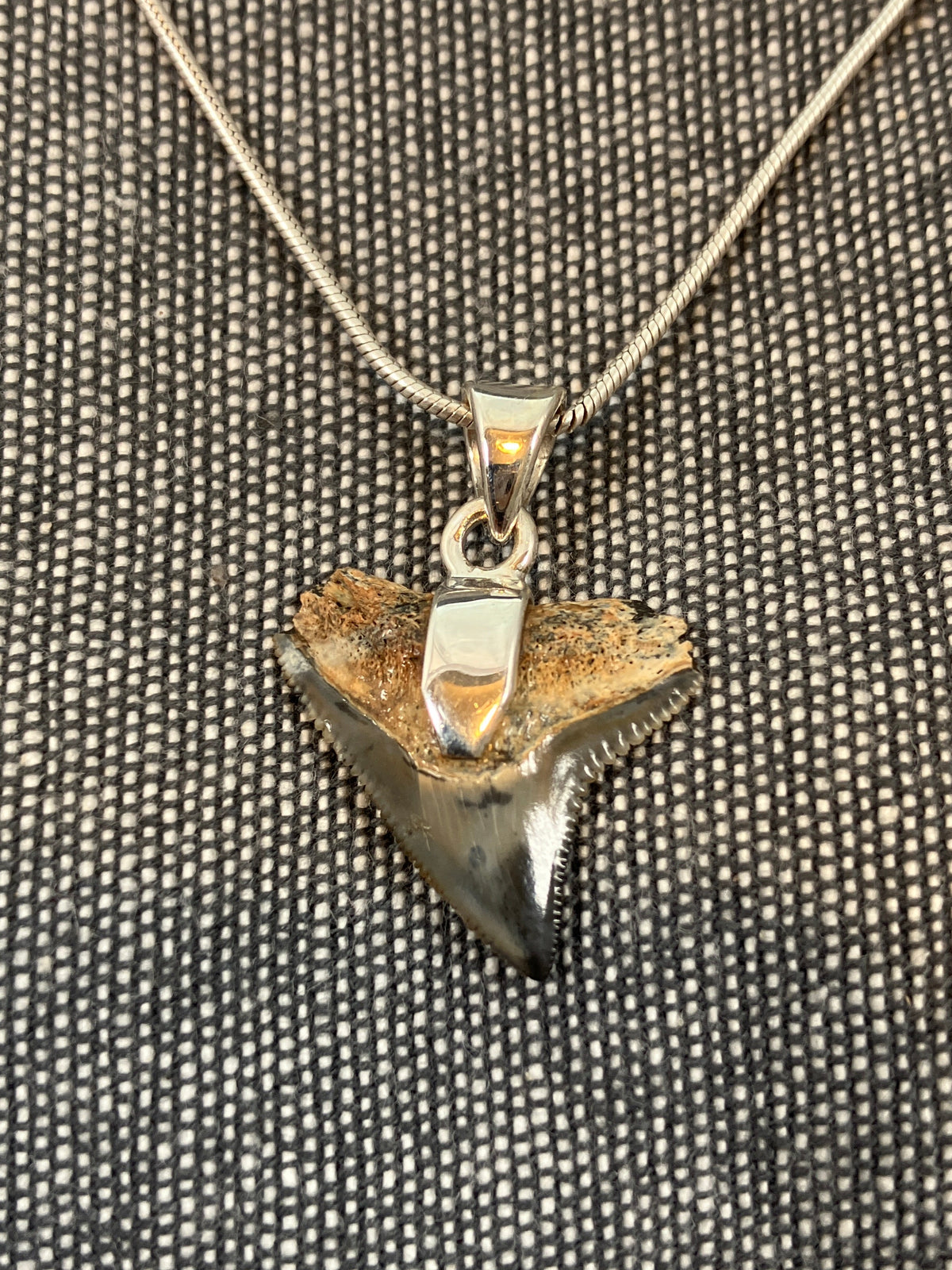 Fossilized Shark Tooth Pendant 2