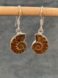 Ammonite Earrings Medium