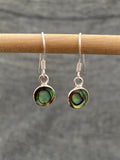 Paua Shell Little Round Earrings