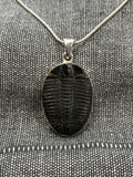 Trilobite Pendant 1