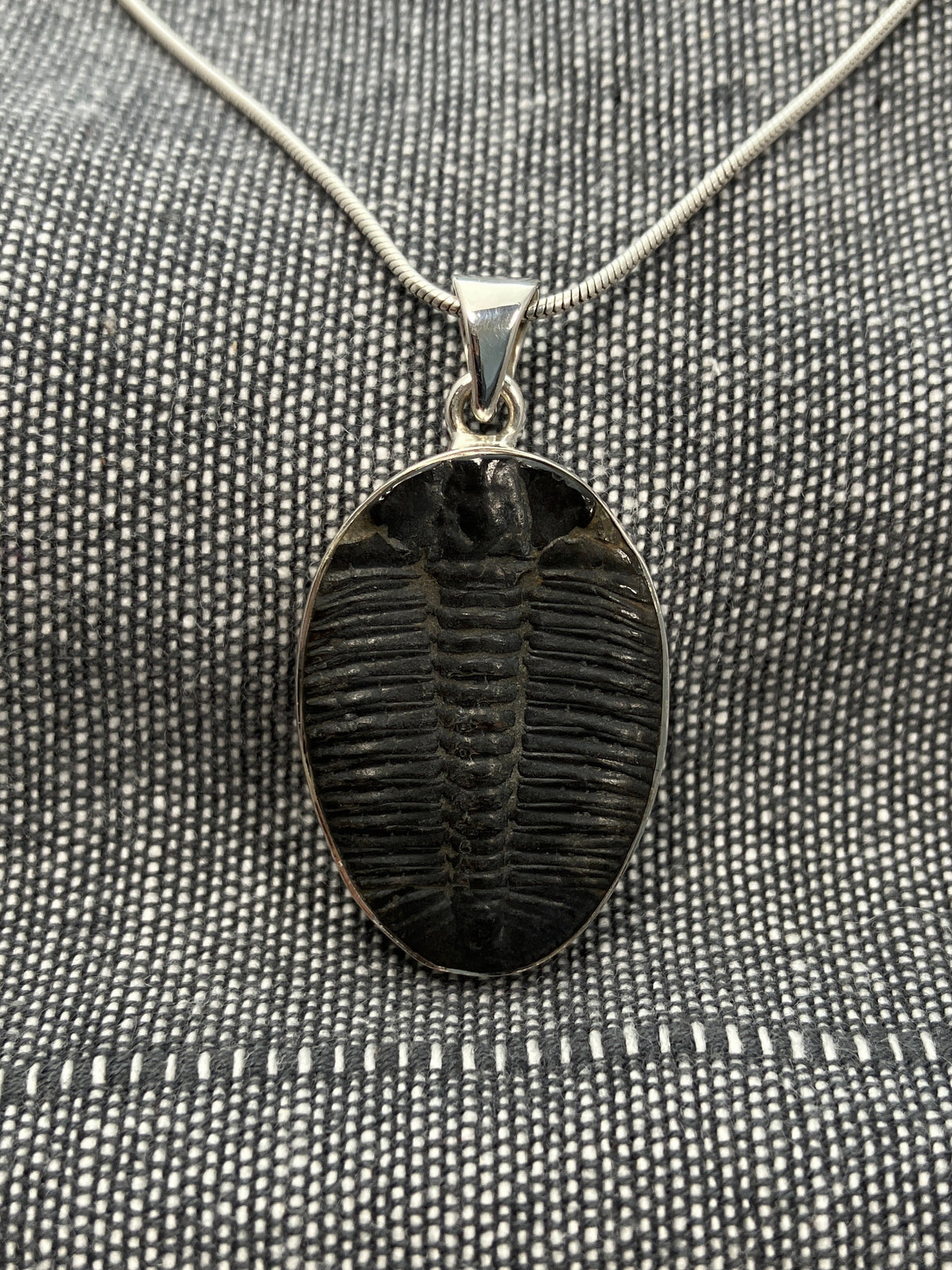 Trilobite Pendant 1