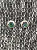 Paua Shell Encircled Studs