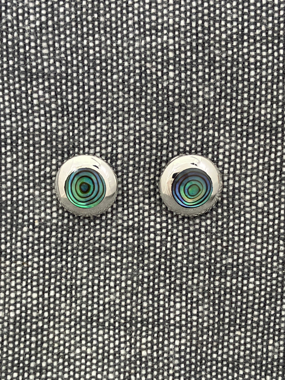 Paua Shell Encircled Studs