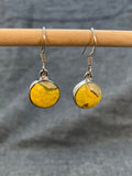 Bumblebee Jasper Round Earrings