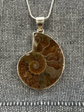 Ammonite Pendant 2