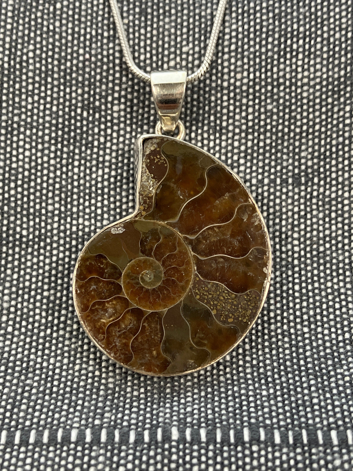 Ammonite Pendant 2
